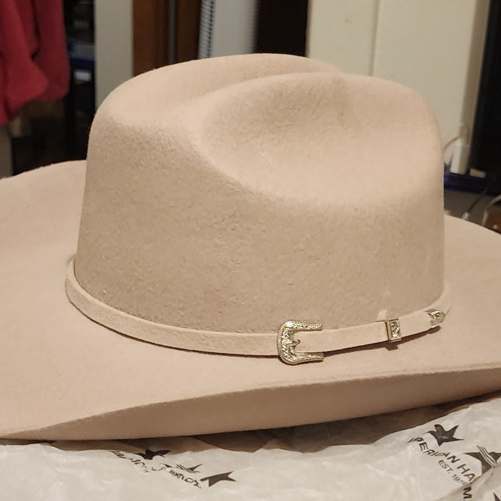 Elegant Beige Western Hat